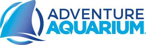 Adventure Aquarium