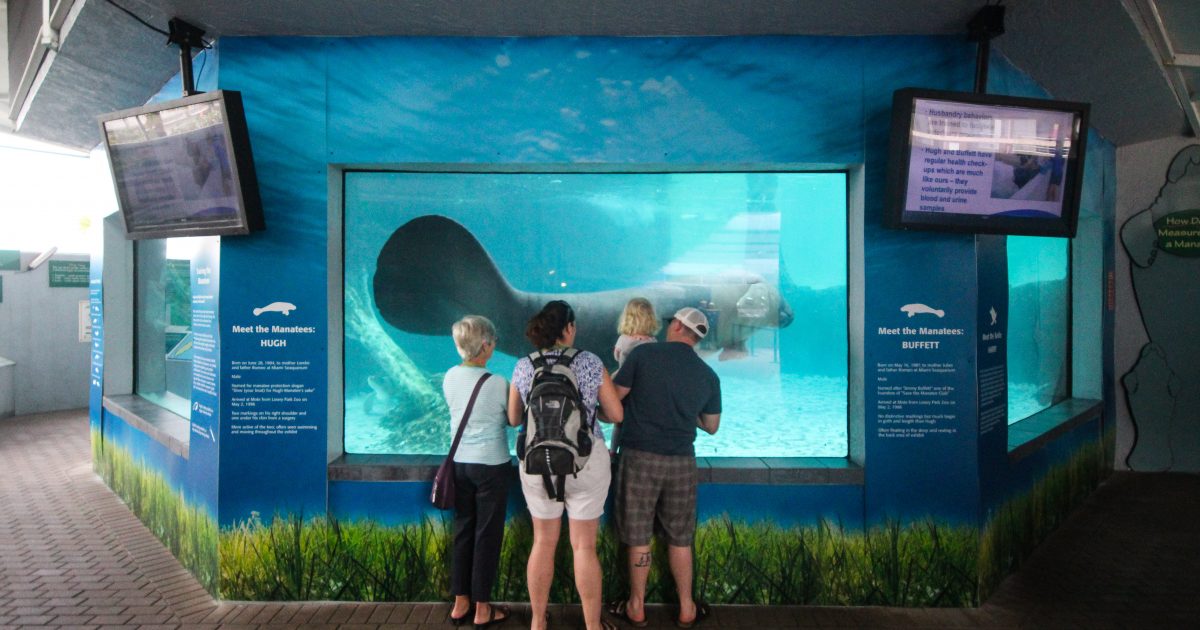 Mote Marine Lab and Aquarium Save Your Aquarium