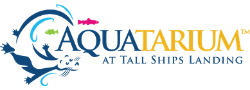 The Aquatarium