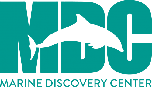 Marine Discovery Center