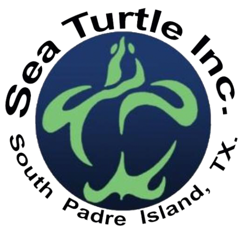 Sea Turtle Inc.
