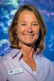 Dr. Sandy Trautwein