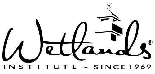 The Wetlands Institute