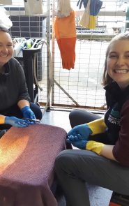 Shaw Center For The Salish Sea, Aquarist Team