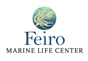 Feiro Marine Life Center